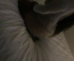Raleigh-Durham Female Escort — HMU Slutty Saturday - Image 3