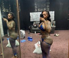Fort Lauderdale escorts - Fort Lauderdale Incall Female Escort — Young, petite, busty & discreet