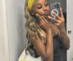 Dallas Chocolate Petite Escort (5'2") — QV & HHR - Image 2