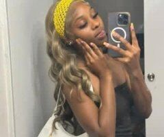 Dallas Chocolate Petite Escort (5'2") — QV & HHR - Image 5