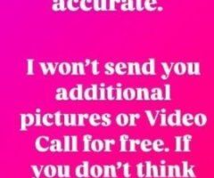 Charleston SC Female Escort — Saturday Night Live - Image 4