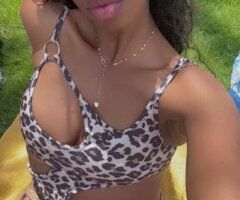 Alora — Dark Berry Playmate - Image 2