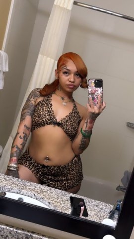 Storm — Exotic Mixed Hottie (Norfolk, VA) - 1