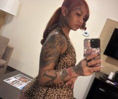 Storm — Exotic Mixed Hottie (Norfolk, VA) - Image 7
