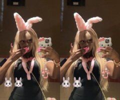 Ebony J Rabbit — Incalls Only Female Escort in Charleston, SC - Image 7