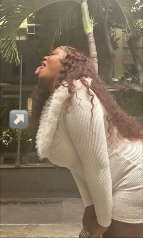 Honolulu Female Escort — Natural Beauty, Incall & Outcall - 1