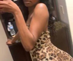 Las Vegas escorts - Las Vegas Female Escort — Outcall & Facetime Shows