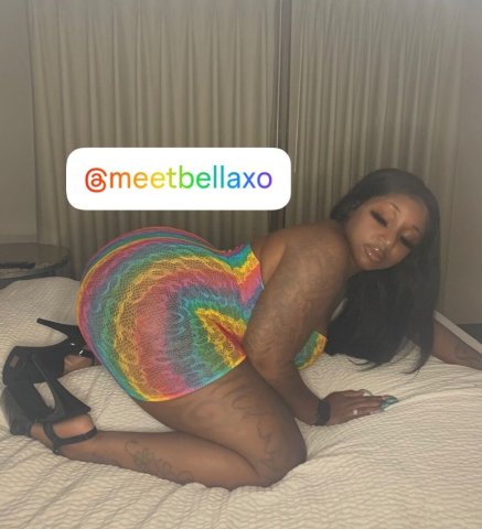 Bella (Washington, DC Area) Female Escort — Incalls & Outcalls - 1