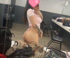 North Jersey escorts - North Jersey Female Escort — GFE and no BBJ/BJ