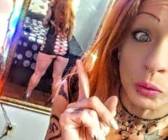 West Palm Beach Female Escort — text-only QV & BBJ specials - Image 8