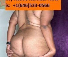 Sierra Vista, AZ Female Escort — Incall/Outcall & BBJ/Anal - Image 2