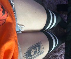 Bunny (19) — Female Escort in Cincinnati - Image 5