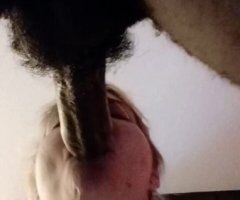 Columbus, Ohio Freaky Friday BBJ Tonight — In-Call Only $70 (35) - Image 2