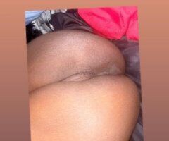 Orlando escorts - Incall / Outcall Female Escort in Orlando, FL