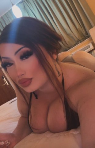 North Bay Sweetest In-Calls & Outcalls — Thick-body, clean/classy FT + content - 1