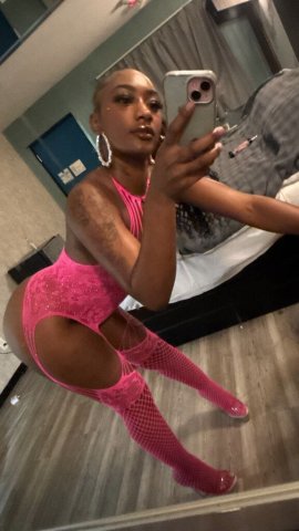 New in Town Tampa Incalls & Outcalls — No GFE, No Bare - 1