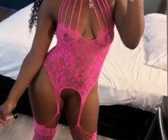 New in Town Tampa Incalls & Outcalls — No GFE, No Bare - Image 3