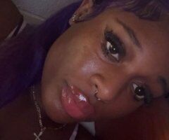 Miami escorts - Miami Thick Female Escort — Car Play, Incall, Freetime Verify