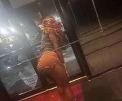 Albany escorts - Albany, Georgia Female Escort — on-a-bag, business only