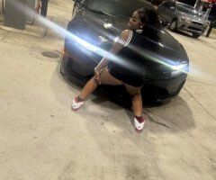 Sarasota/Bradenton Female Escort — Outcalls, no bare, no games - Image 7