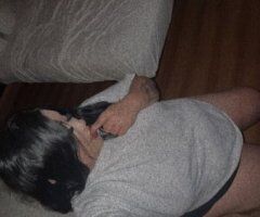 Palm Springs escorts - New Latina in Town (Palm Springs) — Wet Pussy & Throat Services