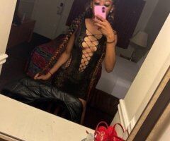 Kreamii Kandi — Blasian Female Escort with Soft Curves (North Bay) ✨ - Image 4