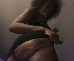Tampa Female Escort — Incall only, last day till 12pm - Image 4