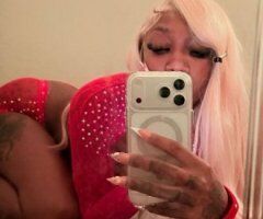 Baton Rouge Female Escort — Incalls & Outcalls (Verification Required) - Image 4