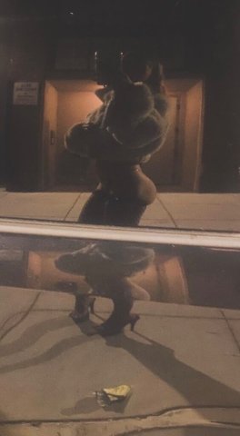 Petite Full Service Female Escort (North Bay) — WET Exotic Paradise - 1