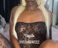 Artesia Incall Blonde Escort — Incall Only, New Pictures - Image 5