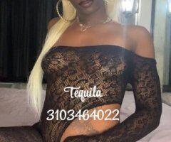 Artesia Incall Blonde Escort — Incall Only, New Pictures - Image 11