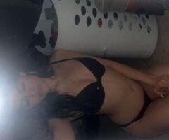 Seattle escorts - Seattle Female Escort — 2-girl special, in-calls & out-calls, plus massages (21)