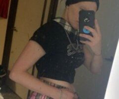 Kitty — In-Calls Only Female Escort (Incalls Phoenix, AZ) - Image 7