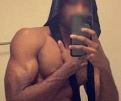 6'4 Hung Horse Ready Now - Image 4