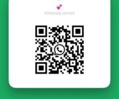 Houston escorts - Houston Female Escort — Incall, Outcall & Car Fun