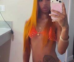 Petite 18-year-old escort with a tight-pussy experience — in Denver - Image 9