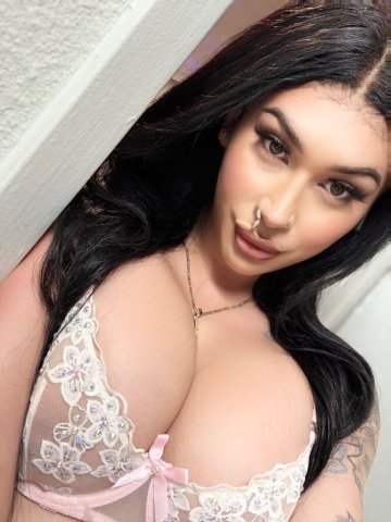 Springfield, IL Female Escort — Incall/Outcall, Video & Pics - 1