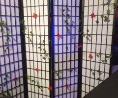 Lafayette, IN Female Escort — $50 purr rub down massage (VIP extra) - Image 2