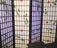 Lafayette, IN Female Escort — $50 purr rub down massage (VIP extra) - Image 5