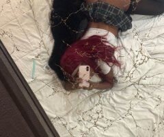 Oakland/East Bay escorts - Aliyah — Petite Exotic Companion (Redbone) in Oakland/East Bay, CA (No Rush)