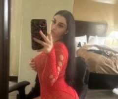 Holland escorts - Holland MI Incall / Outcall Female Escort — Text-Only