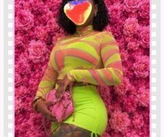 Miami Companionship — Clean Language Only Virtual Chat Companion - Image 3