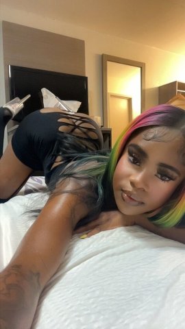 Fort Myers Florida Funsized Choc — Incall Only - 1