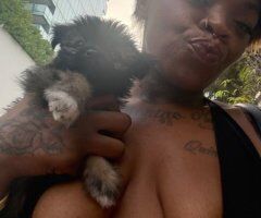 Beaumont escorts - Pink is back — Beaumont Texas