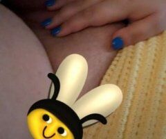 Albuquerque escorts - Albuquerque Female Escort — incalls or Uber if you cover it