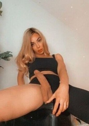 🌹🌹Latina Trasns Girl💋🌹🍆Dick queen Top and bottom💋😘Available Incall and Outcall✅Car🌷Hotel fun✅I do Facetime fun and video Sell💯✅24\7🌹 - 1