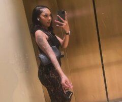 Tampa New in Town  - INS Only, Wet Shows & Content - Image 4
