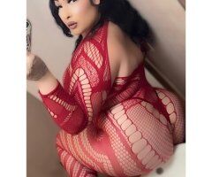 San Francisco In-Call BBW Incall — 38DDD, Creamy & Curvy - Image 6