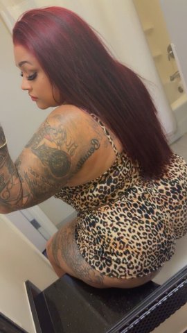 Greensboro NC Female Escort — New pics, face verification - 1