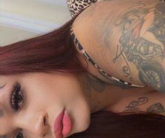 Greensboro NC Female Escort — New pics, face verification - Image 10